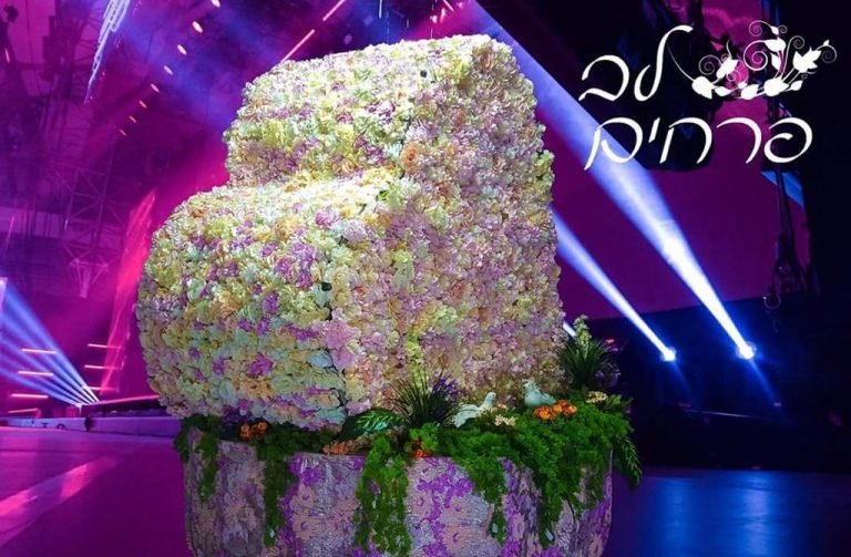 בת מצווה | פרובנט הפקות
